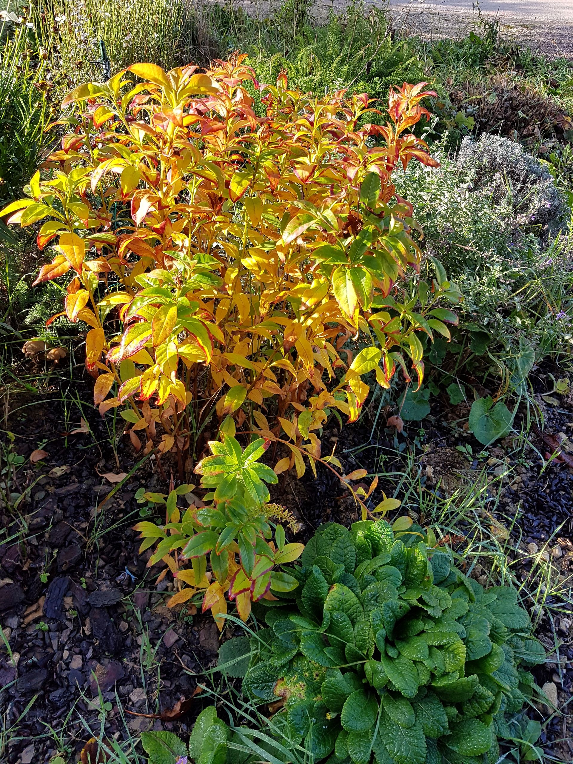 Photo de test par mike